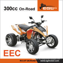 CEE aprobación 300 cc 2 persona Quad